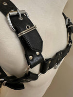 Load image into Gallery viewer, Leather Bull Harness
